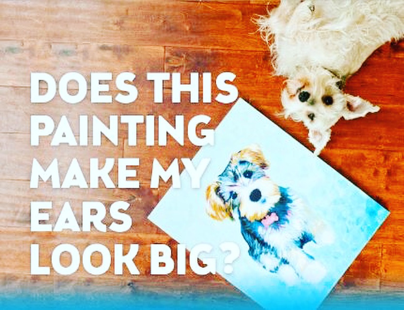 Paint Your Pet in Olathe